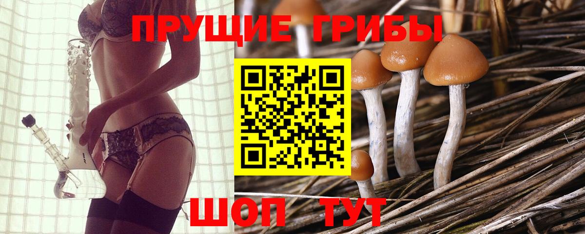 Псилоцибиновые грибы GOLDEN TEACHER Камышлов