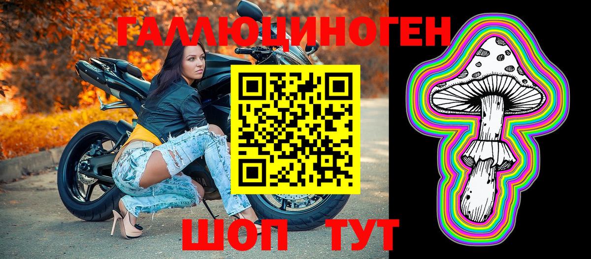 Камышлов  Псилоцибиновые грибы прущие грибы  Вход с VPN 