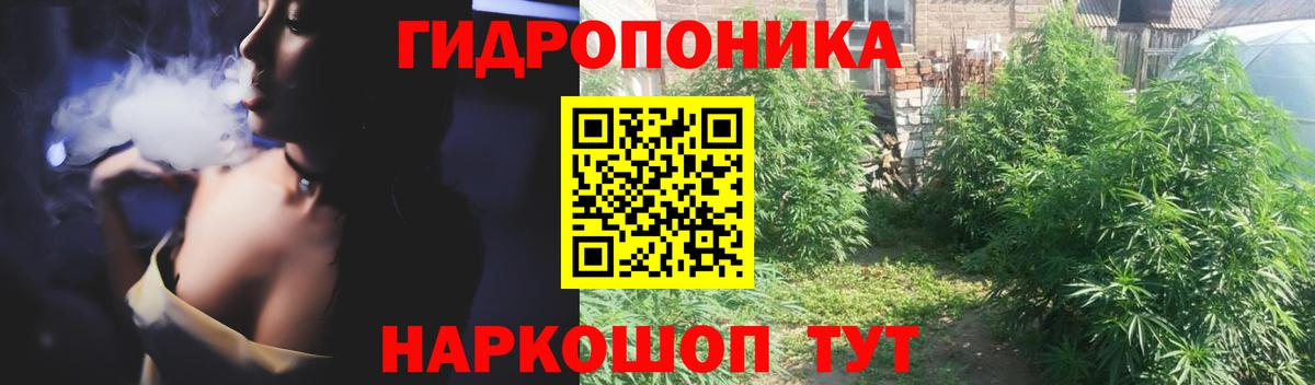 Шишки марихуана Amnesia Камышлов